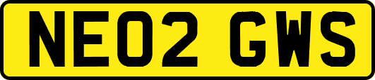 NE02GWS