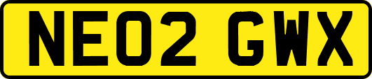 NE02GWX