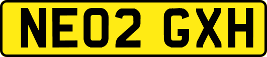 NE02GXH