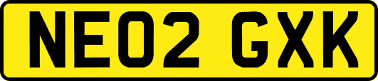 NE02GXK