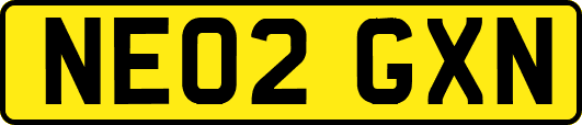 NE02GXN