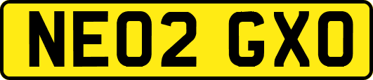 NE02GXO