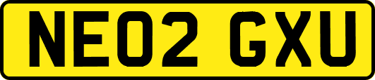 NE02GXU