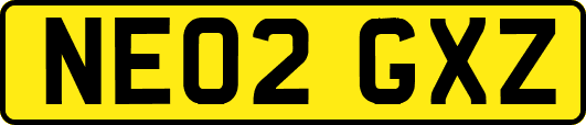 NE02GXZ