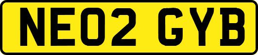 NE02GYB