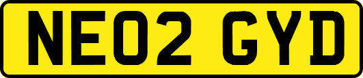 NE02GYD