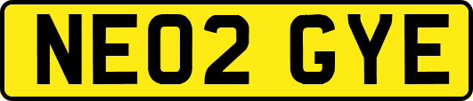 NE02GYE