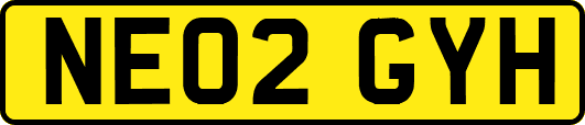 NE02GYH