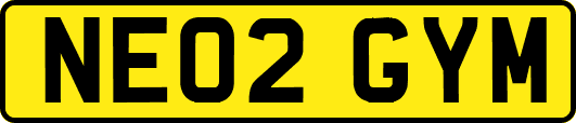 NE02GYM