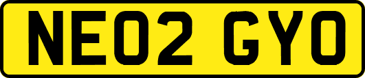 NE02GYO