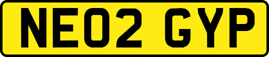 NE02GYP