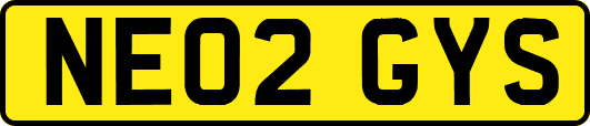 NE02GYS