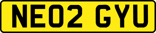 NE02GYU