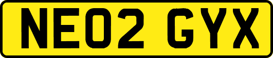 NE02GYX