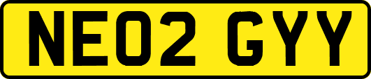 NE02GYY