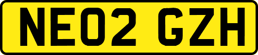NE02GZH