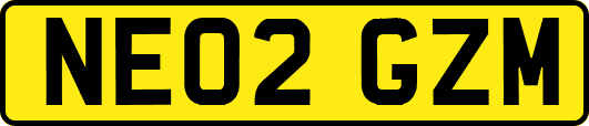 NE02GZM