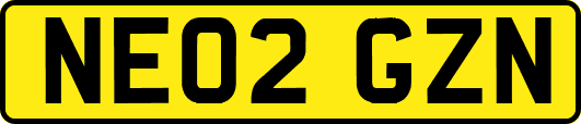 NE02GZN