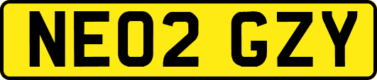 NE02GZY