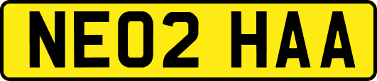 NE02HAA