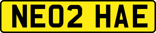 NE02HAE