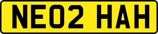 NE02HAH