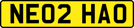 NE02HAO