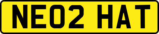 NE02HAT