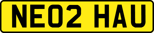 NE02HAU