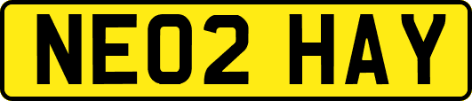 NE02HAY