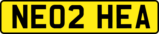 NE02HEA