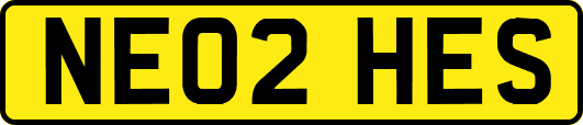NE02HES