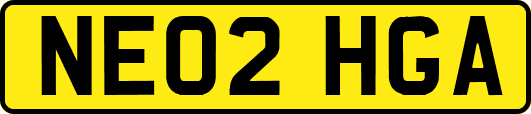 NE02HGA
