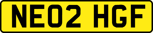 NE02HGF