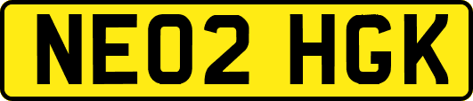 NE02HGK