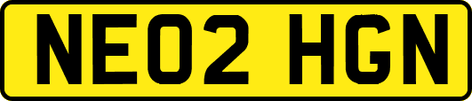 NE02HGN