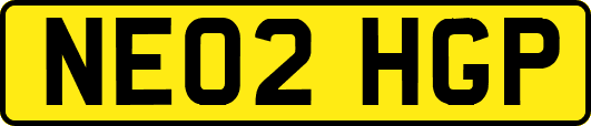 NE02HGP