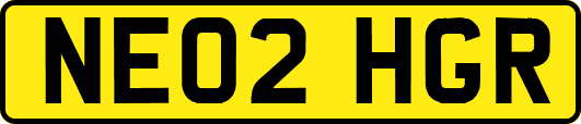 NE02HGR
