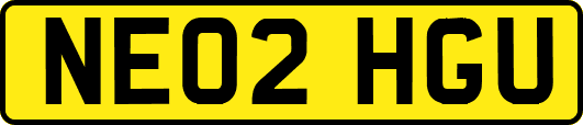 NE02HGU