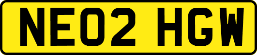 NE02HGW