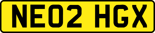 NE02HGX