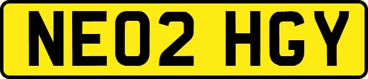 NE02HGY