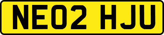 NE02HJU