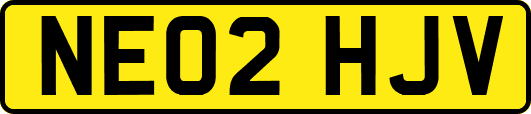 NE02HJV