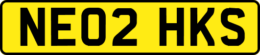 NE02HKS