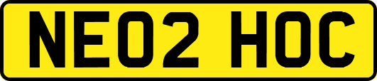 NE02HOC
