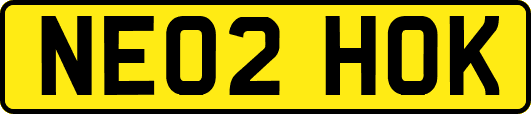 NE02HOK