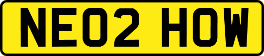 NE02HOW