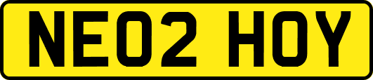 NE02HOY