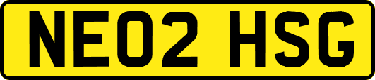 NE02HSG